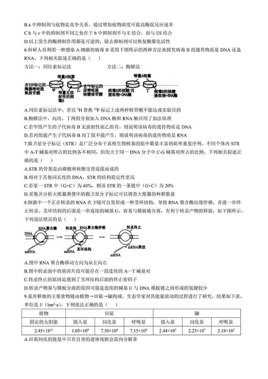 2024～2025学年江苏省扬州市高邮市高三下开学考试生物试卷(含答案)第2页