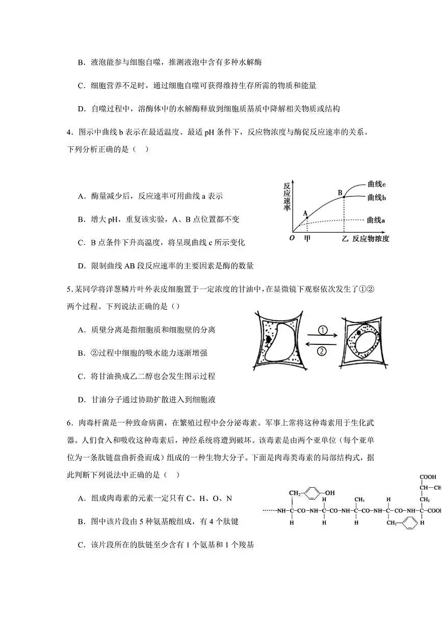 2024～2025学年江西省赣州市定南县定南中学高一下开学考试生物试卷(含答案)第2页
