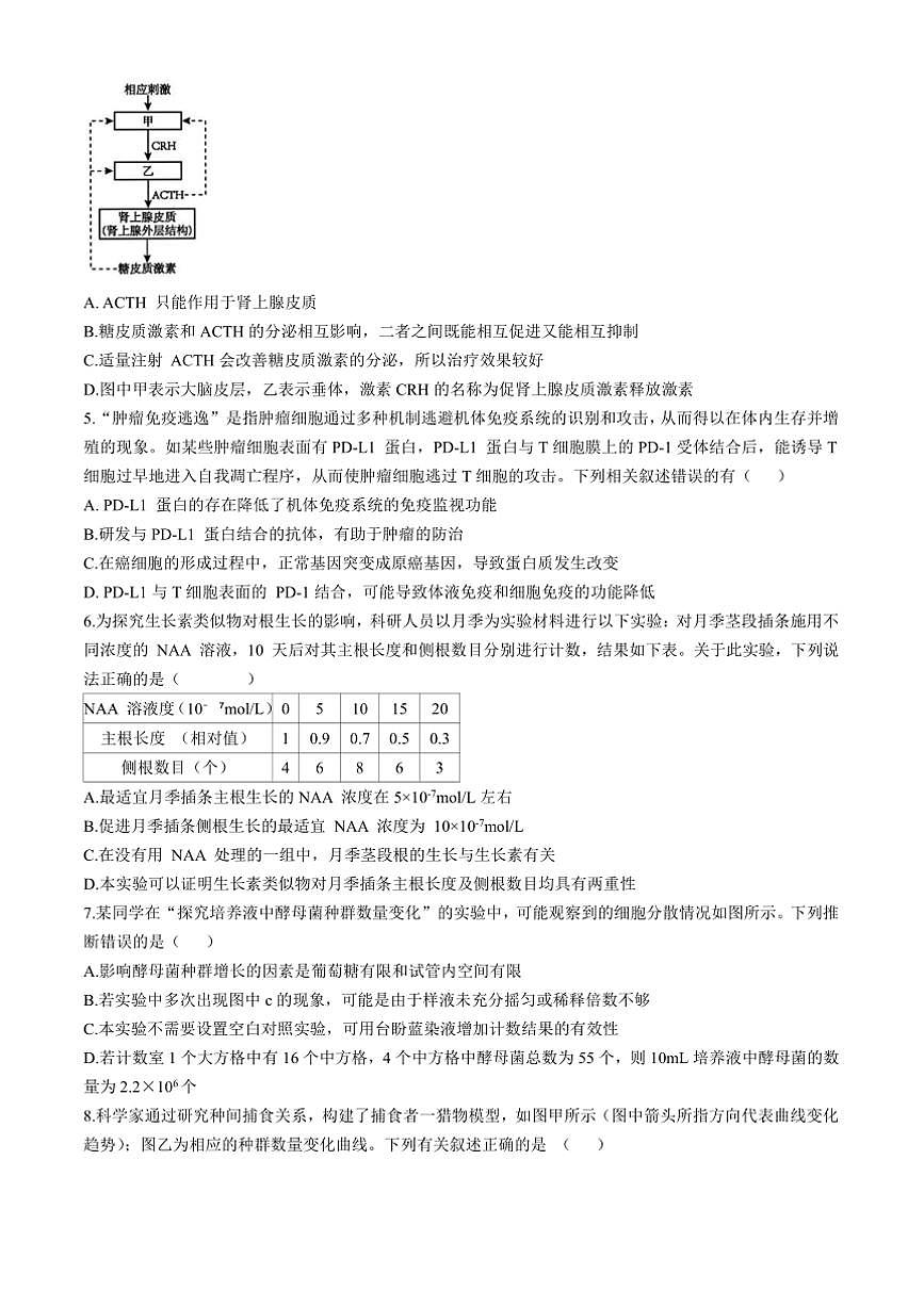 2024～2025学年山东省济宁育才中学高二下2月考生物试卷(含答案)第2页