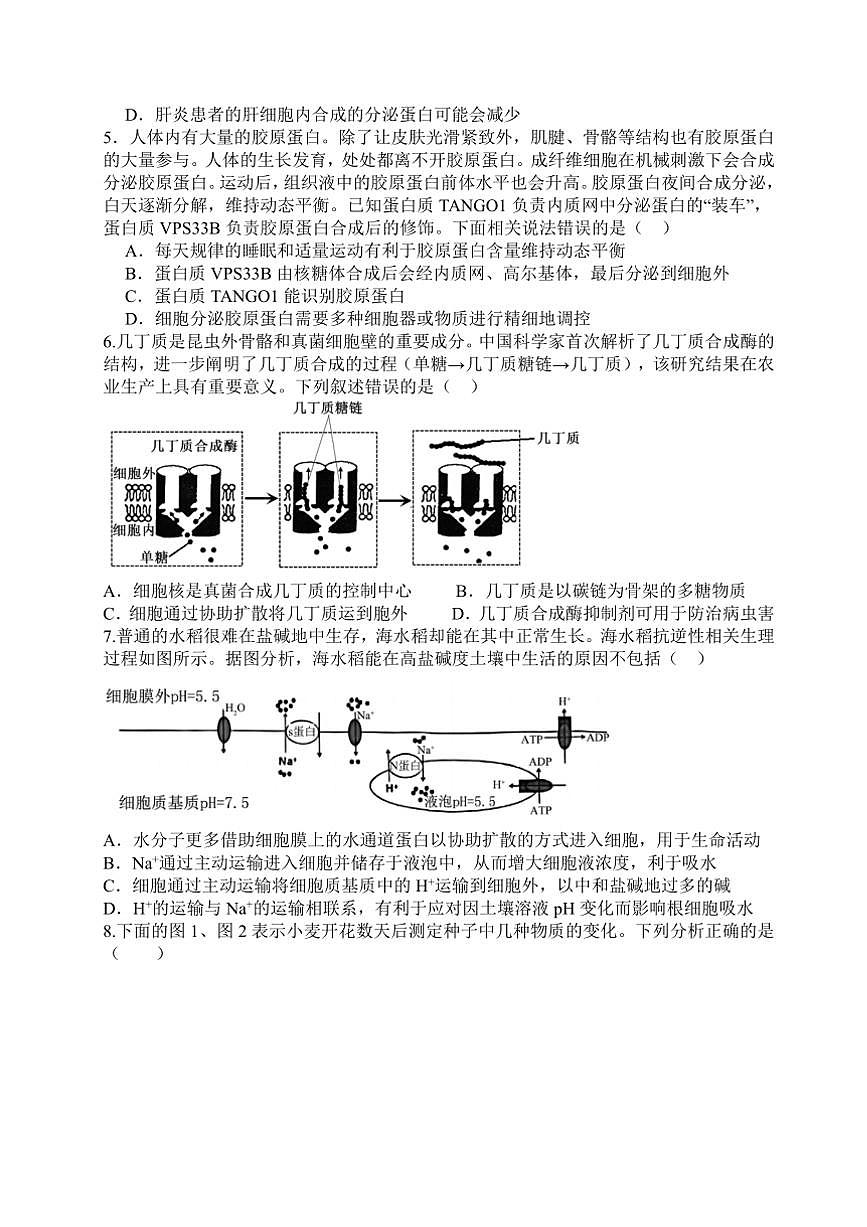 2024～2025学年江西省宜春市丰城中学高一下开学考试生物试卷(含答案)第2页
