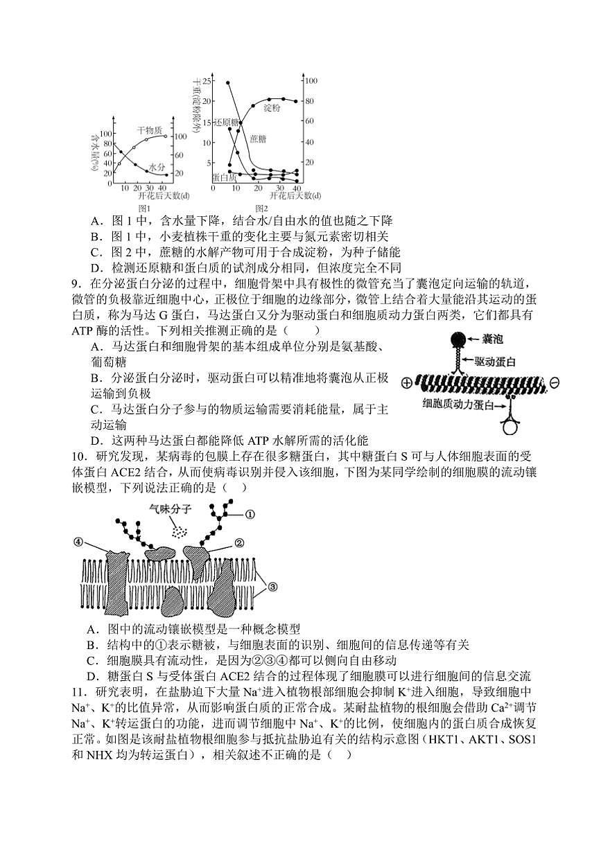 2024～2025学年江西省宜春市丰城中学高一下开学考试生物试卷(含答案)第3页