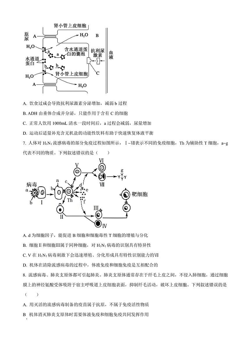 2024～2025学年山西省高二上1月期末生物试卷(含答案)第3页