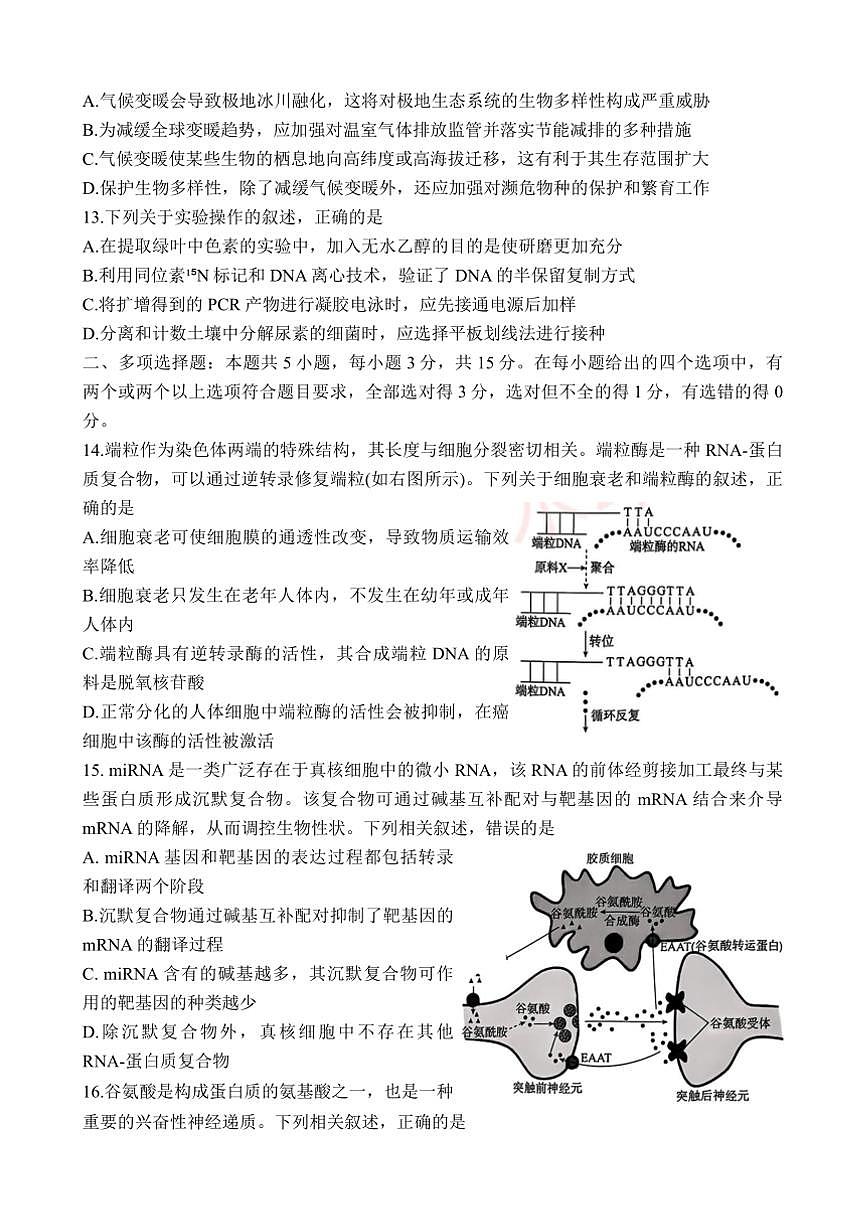 2024～2025学年河北省邯郸市名校高三下开学调研检测生物试卷(含解析)第3页