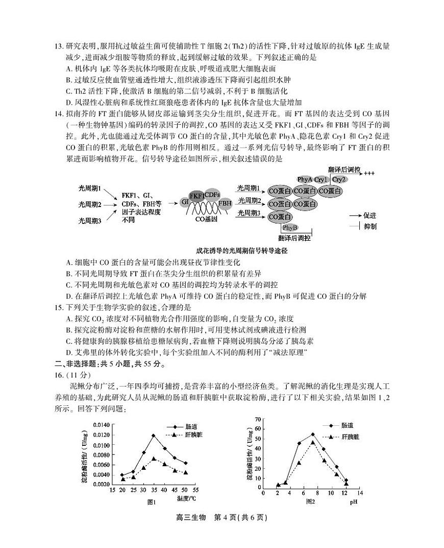 2024届安徽名校联盟高三上(12月考)-生物试题（含答案）第3页
