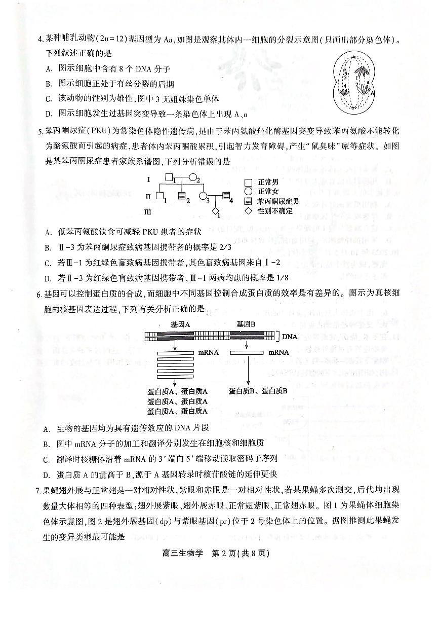2024安徽省高三上学期1月期末考试 生物（含答案）第2页