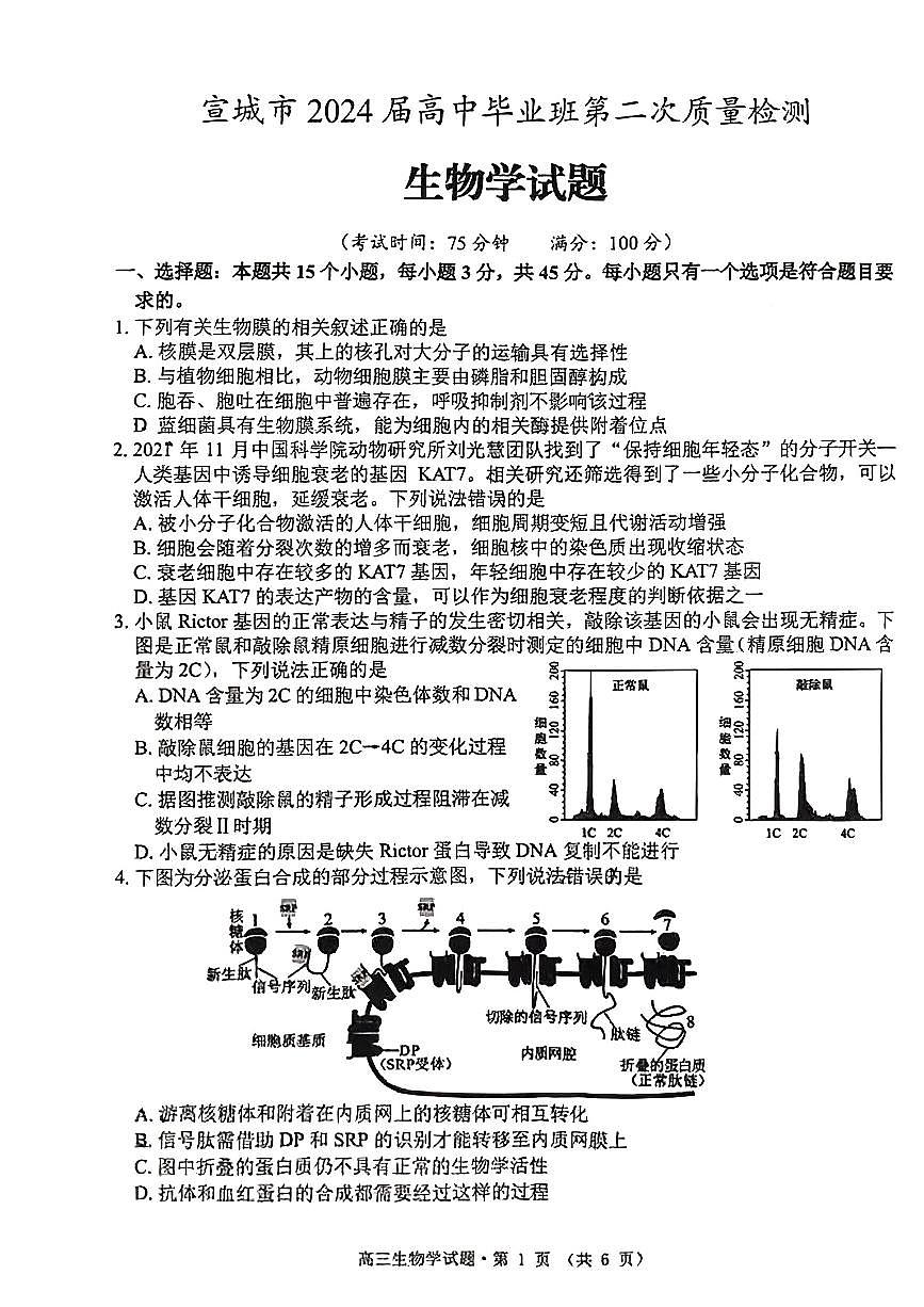 2024安徽省黄山、宣城高三第二次质量检测-生物（含答案）第1页