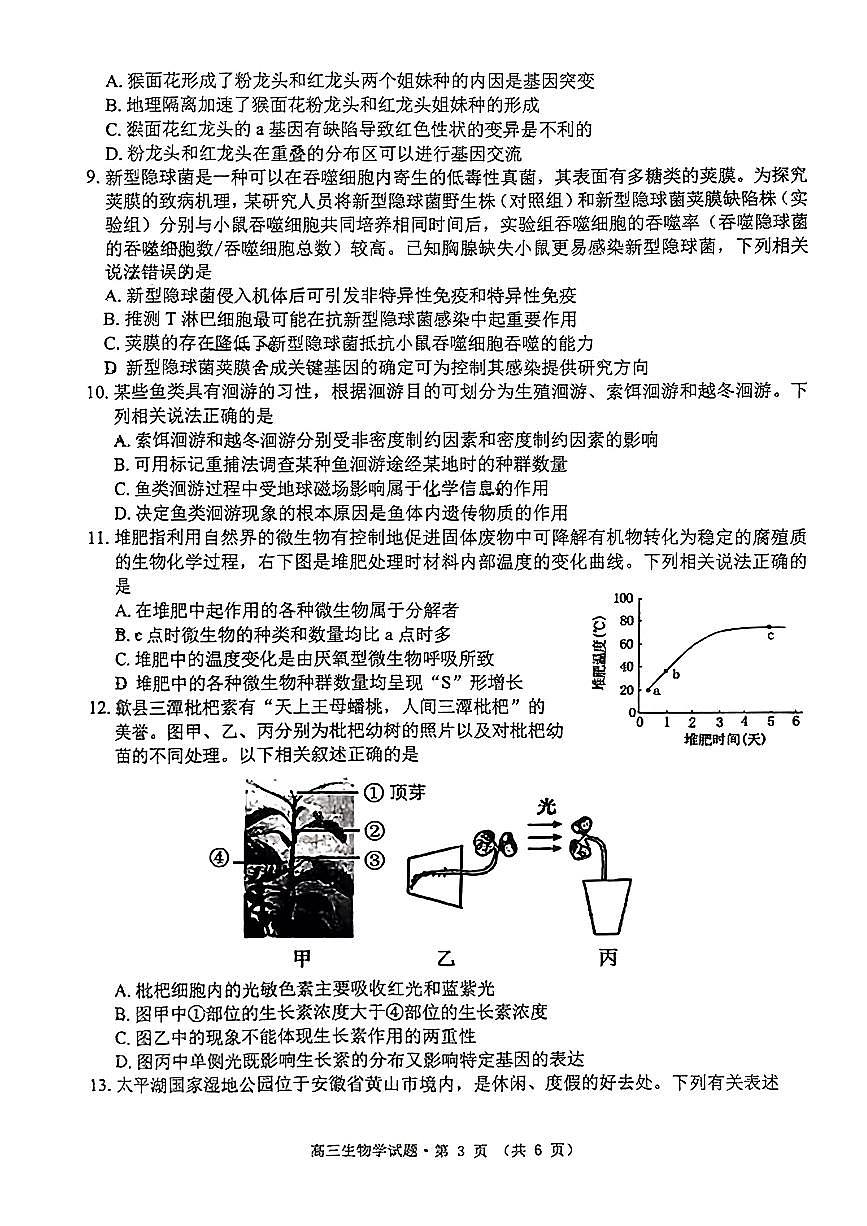 2024安徽省黄山、宣城高三第二次质量检测-生物（含答案）第3页