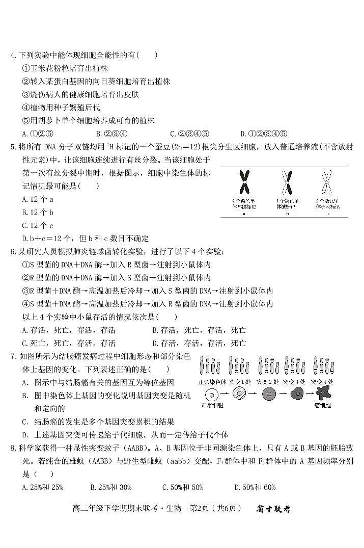 2024届安徽合肥一中高二下（期末考）-生物试题（含答案）第2页