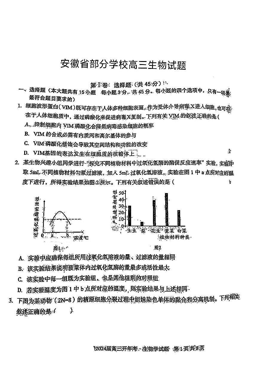 2024届安徽省A10+联盟高三下(2月)-生物试题（含答案）第1页