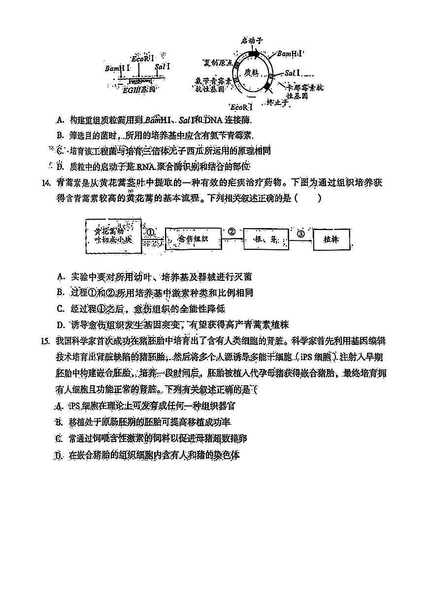 2024届安徽省A10+联盟高三下(2月)-生物试题（含答案）第3页