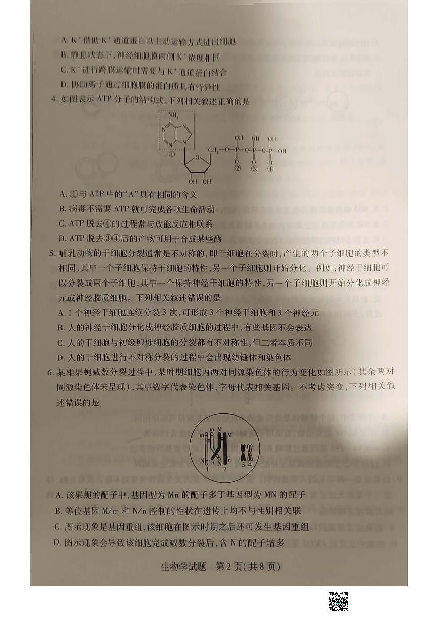 2024届安徽省亳州市高三上（2月月考）-生物试题（含答案）第2页