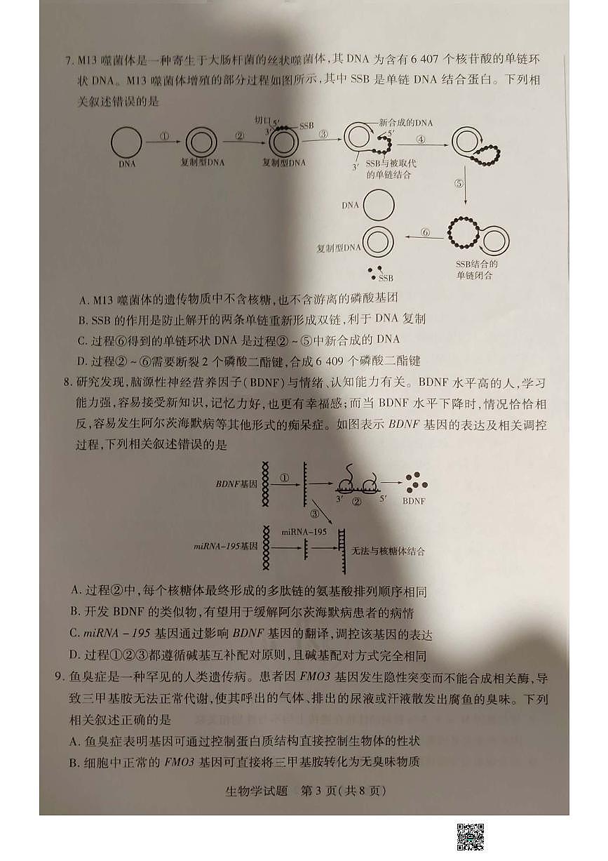 2024届安徽省亳州市高三上（2月月考）-生物试题（含答案）第3页
