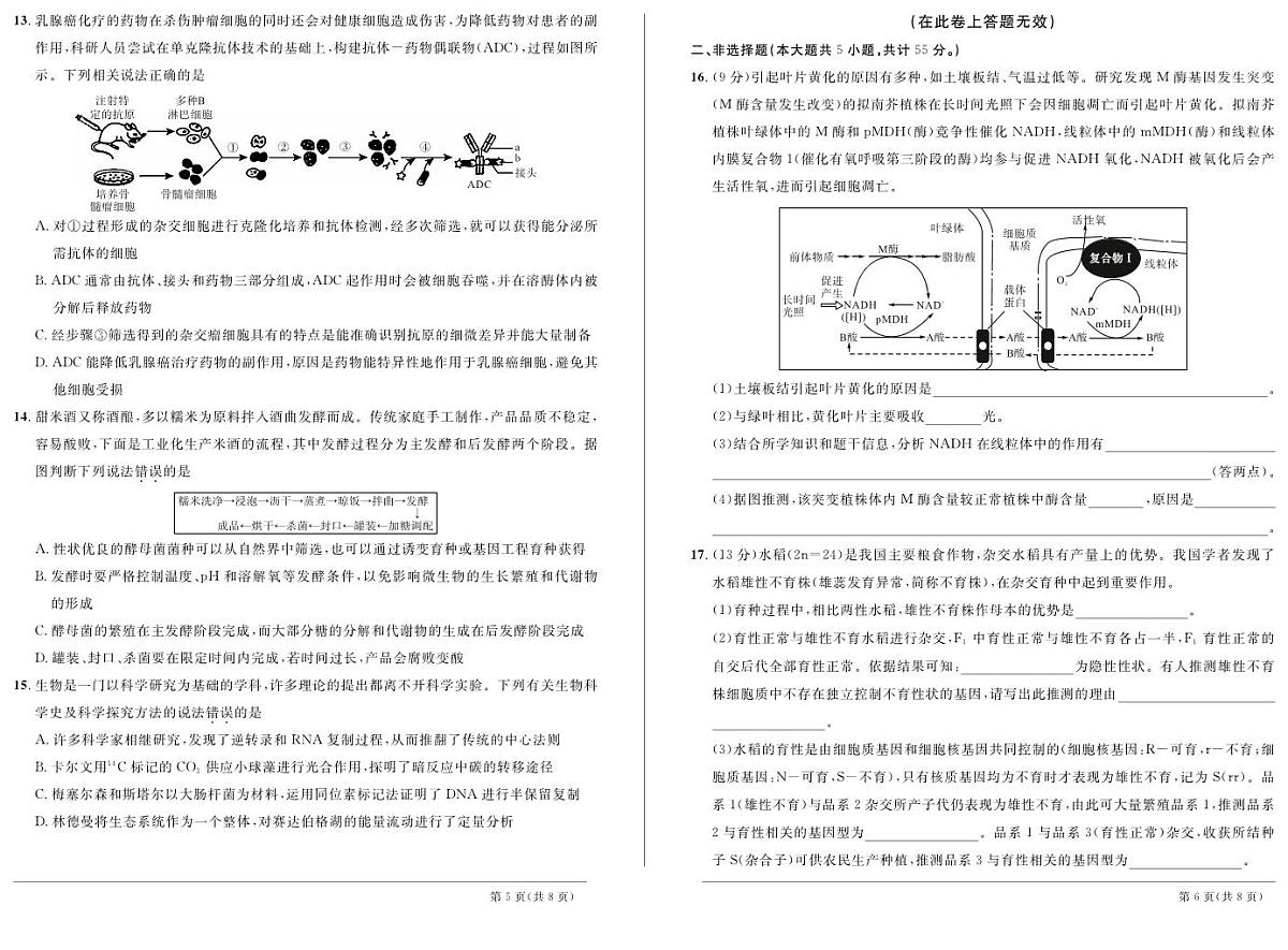 2024届安徽省高三下学期3月联考试卷-生物（含答案）第3页