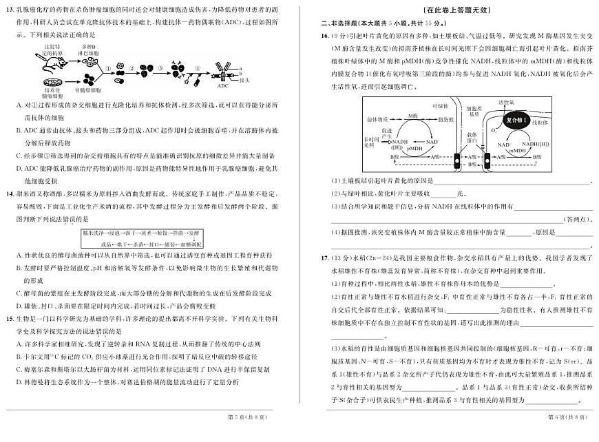 2024届安徽省高三下学期3月联考试卷-生物（含答案）第3页