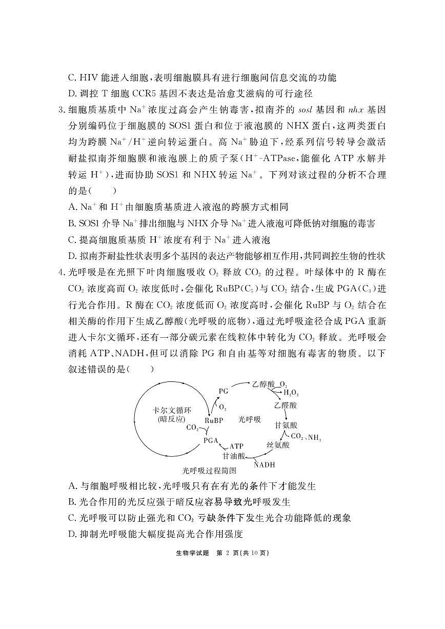 2024届安徽省合肥一六八中高三上(1月)期末考试-生物试题（含答案）第2页