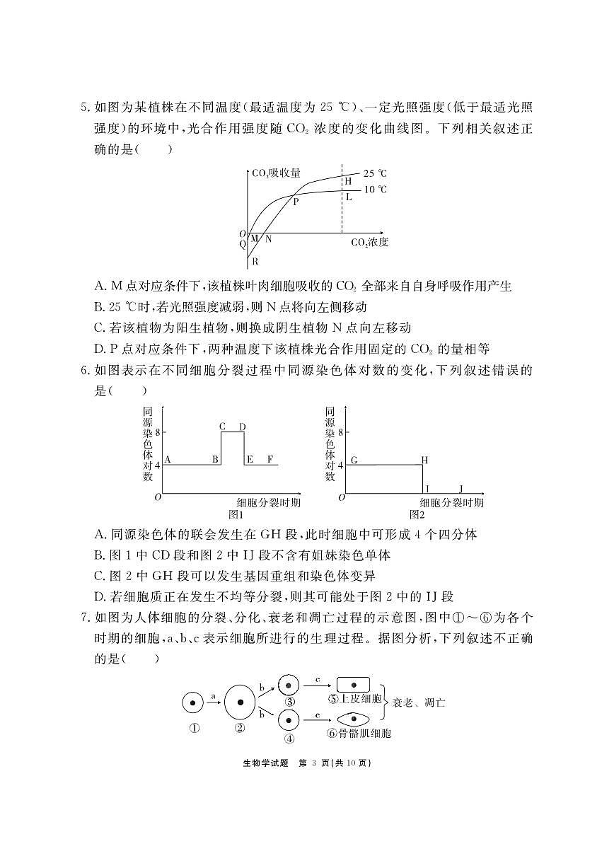 2024届安徽省合肥一六八中高三上(1月)期末考试-生物试题（含答案）第3页