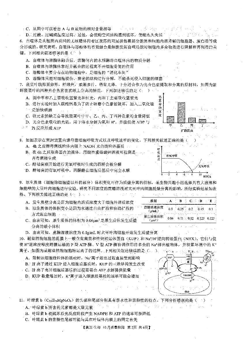 2024届安徽省徽师联盟高三上(10月考)-生物试题（含答案）第2页