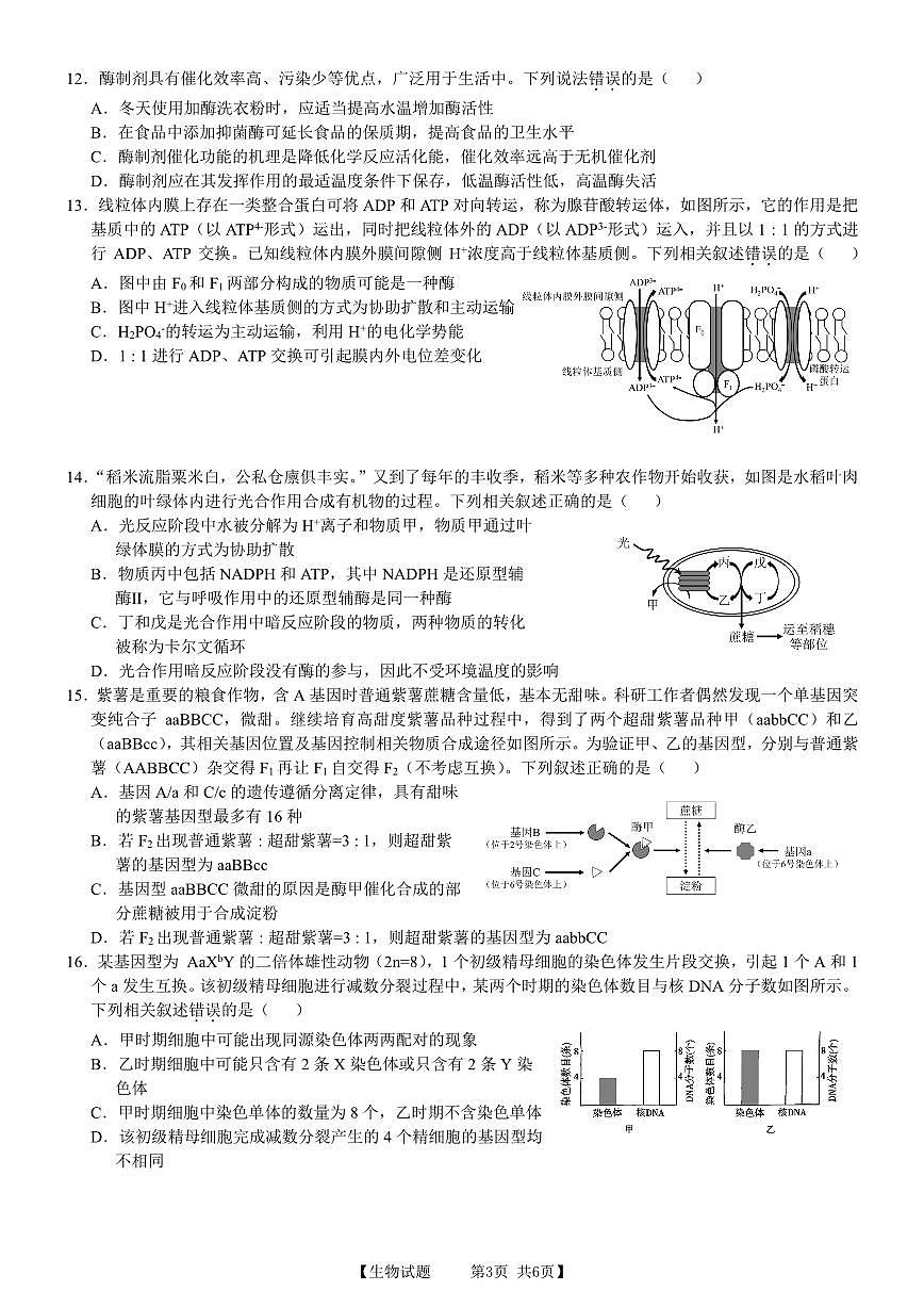 2024届安徽省徽师联盟高三上(11月考)-生物试题（含答案）第3页