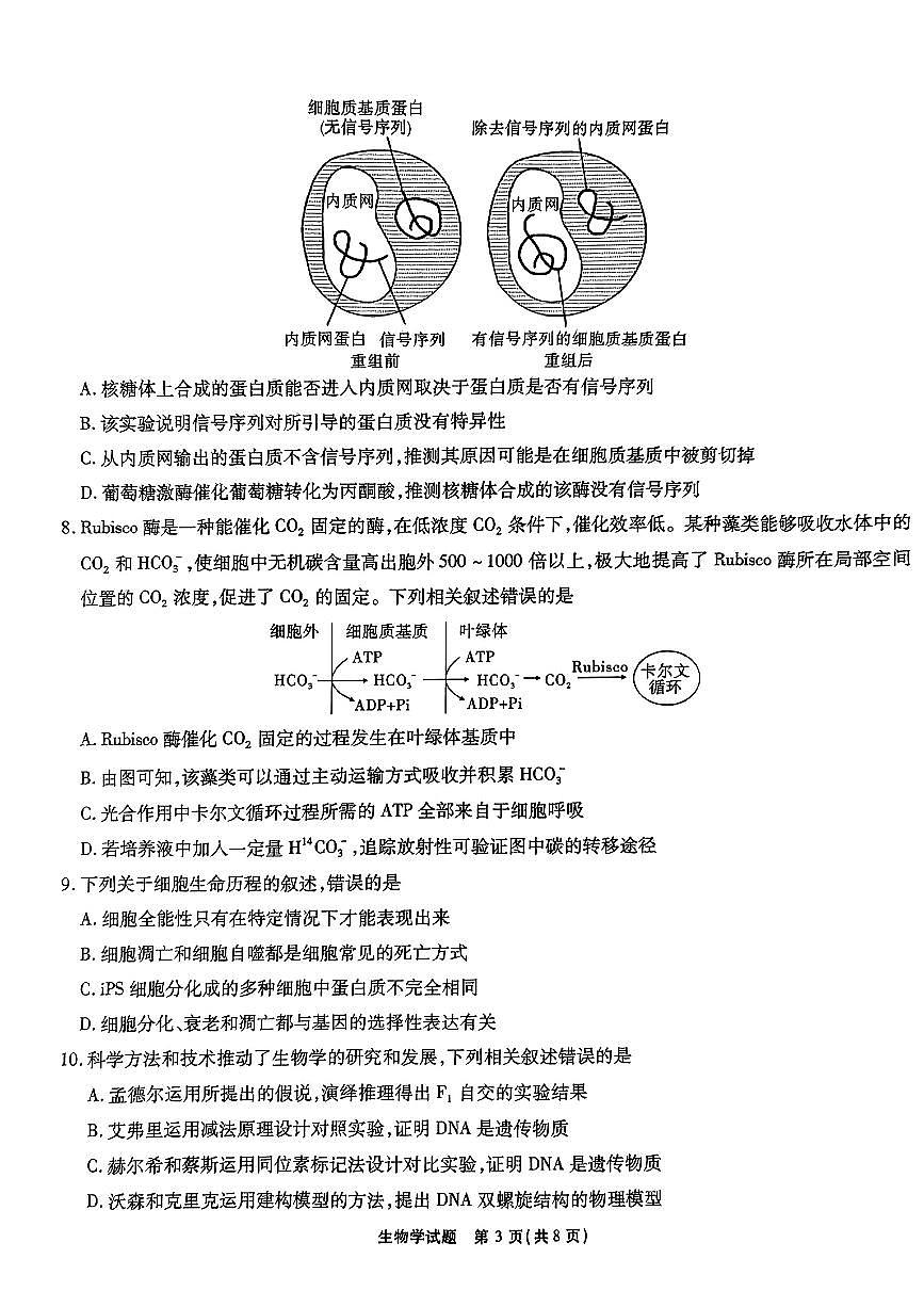 2024届安徽省江淮十校高三上(联考Ⅱ)-生物试题（含答案）第3页