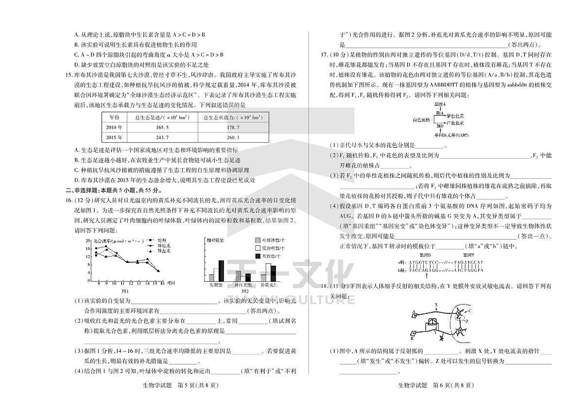 2024届安徽省联考高三上(2月)期末试卷-生物试题（含答案）第3页