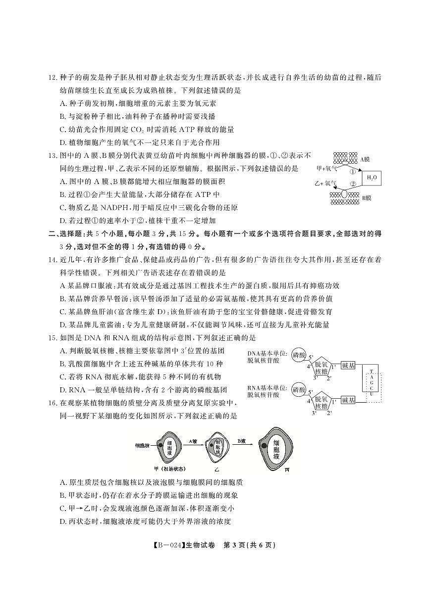 2024届安徽省皖江联盟高三上(10月考)-生物试题（含答案）第3页