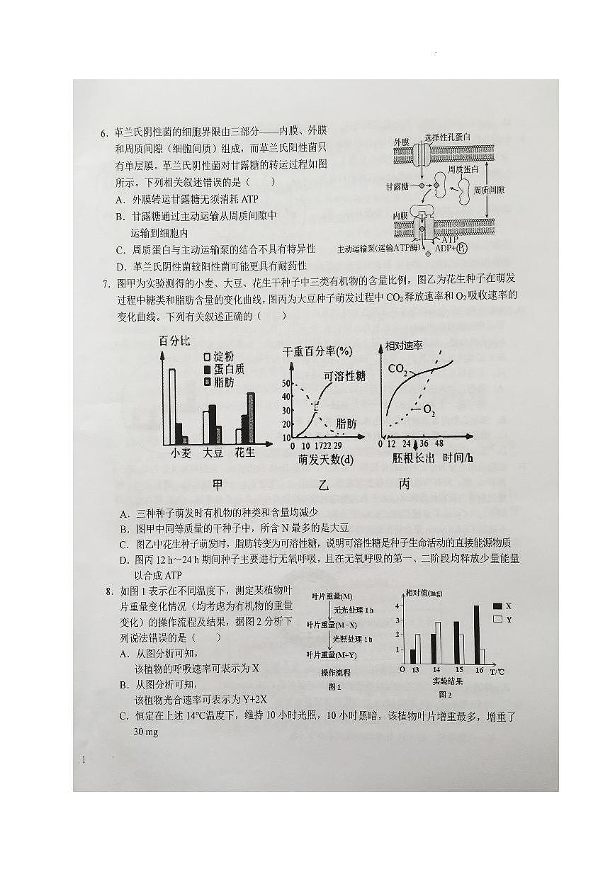 2024届安徽省六安一中高三上(10月考)-生物试题（含答案）第2页