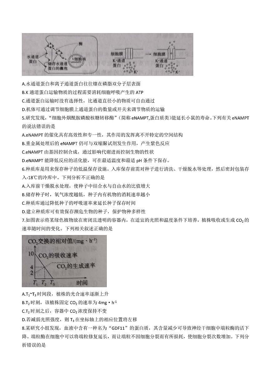 2024届安徽省皖江名校联盟高三上(12月考)-生物试题（含答案）第2页