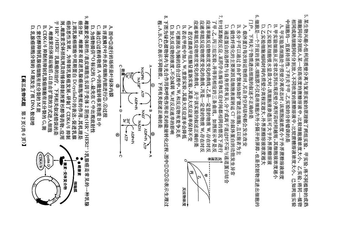2024届安徽省蒙城五校联盟高三上(11月考)-生物试题（含答案）第2页