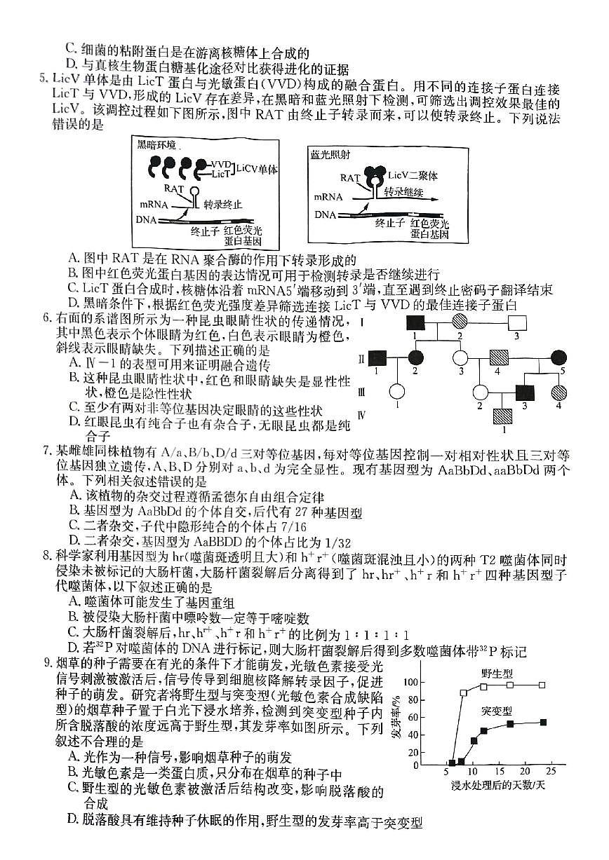 2024届安徽省皖南八校高三上(8月联考)-生物试题（含答案）第2页