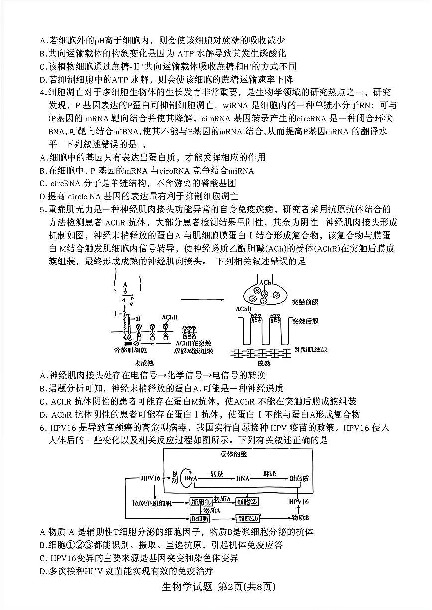 2024年安徽省示范高中皖北协作区第26届高三联考试卷-生物（含答案）第2页