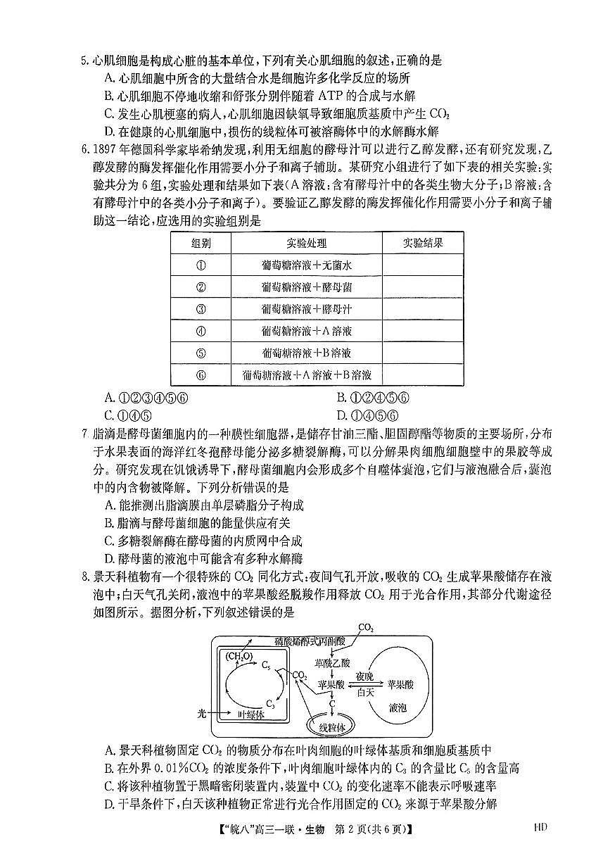 2024届安徽省皖南八校高三上(联考Ⅰ)-生物试题（含答案）第2页