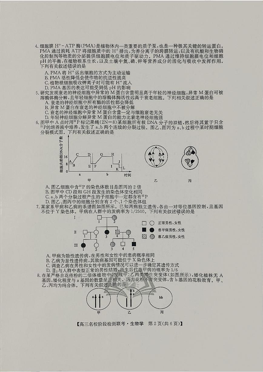 2024届高三上学期(12月考)生物试题（含答案）第2页