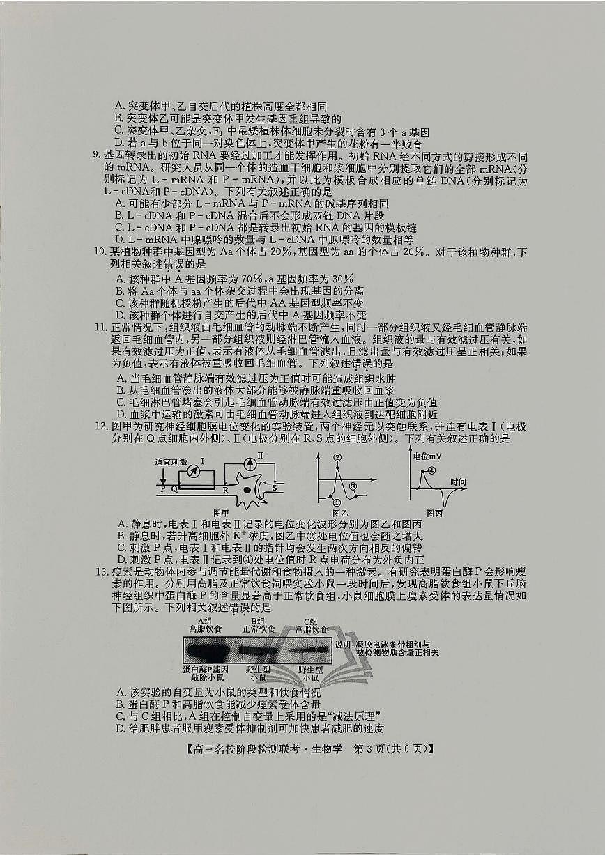 2024届高三上学期(12月考)生物试题（含答案）第3页