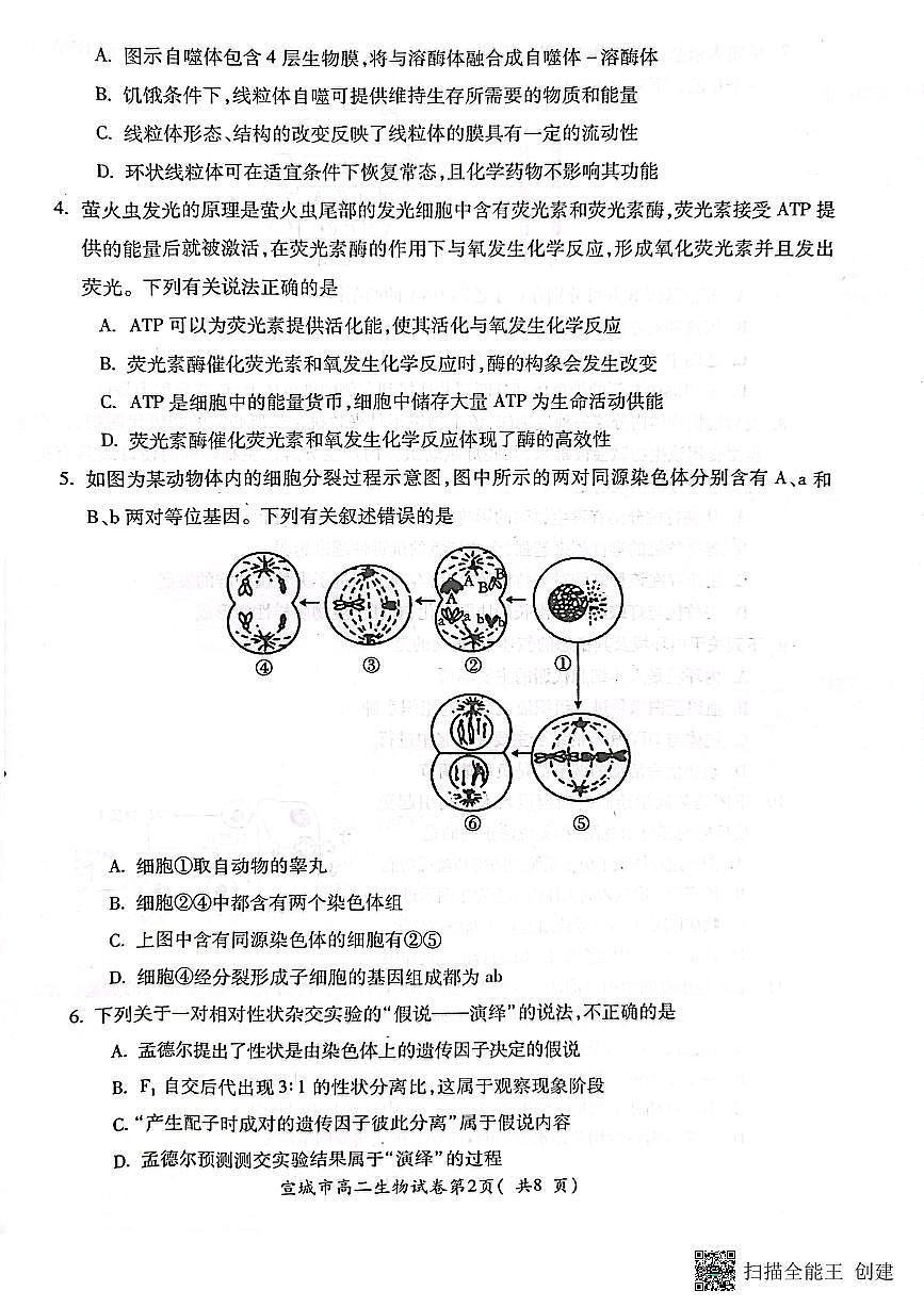 2024届安徽宣城高二下（期末考）-生物试题（含答案）第2页