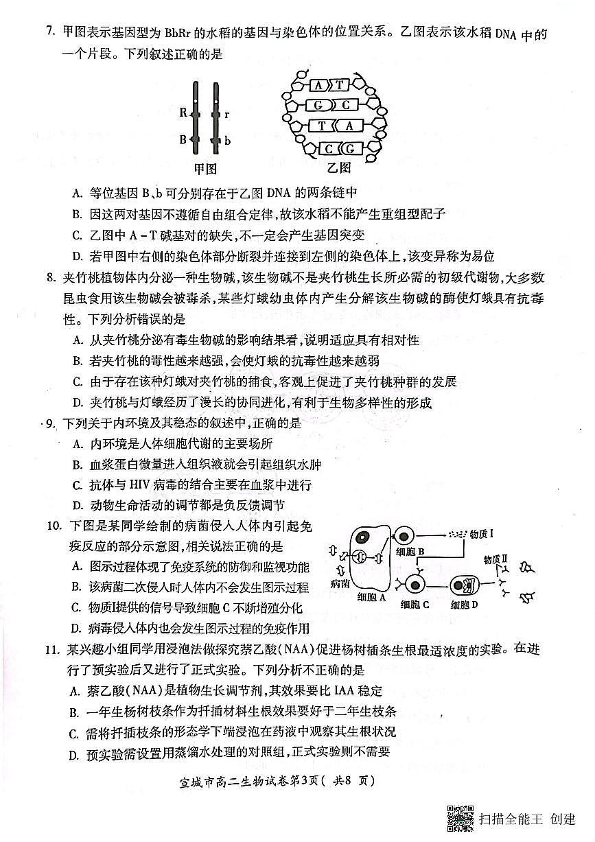 2024届安徽宣城高二下（期末考）-生物试题（含答案）第3页