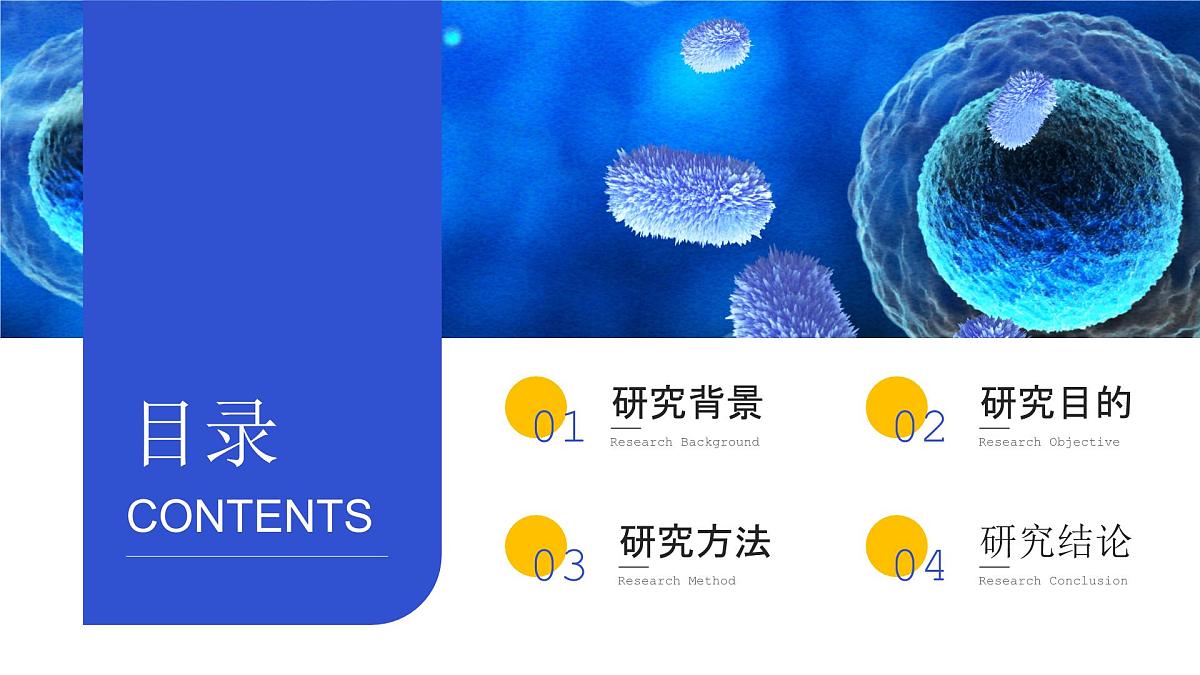 人教版2025高中生物必修一1.1细胞是生命活动的基本单元 课件第2页