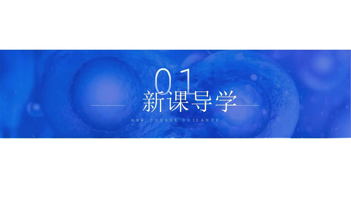 人教版2025高中生物必修一1.1细胞是生命活动的基本单元 课件第3页