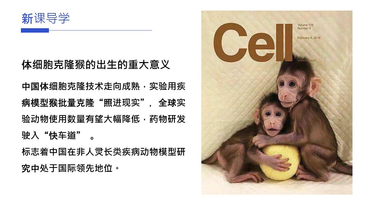 人教版2025高中生物必修一1.1细胞是生命活动的基本单元 课件第6页