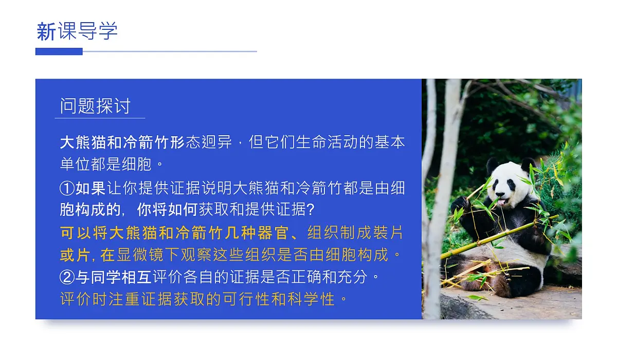 人教版2025高中生物必修一1.1细胞是生命活动的基本单元 课件第7页