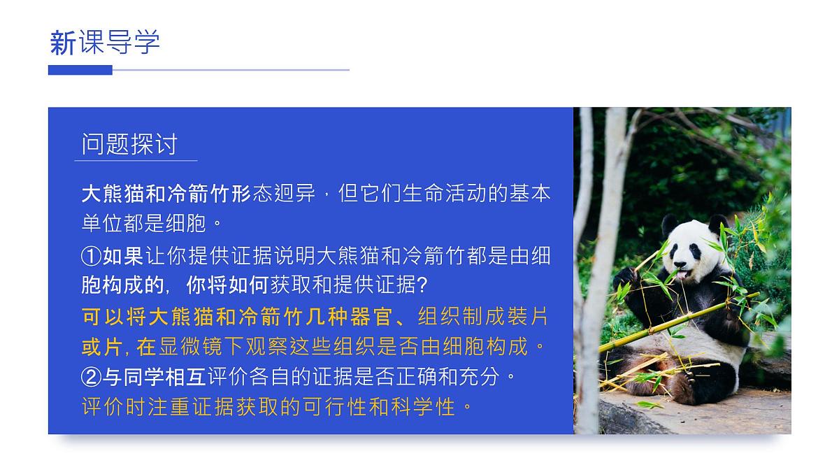 人教版2025高中生物必修一1.1细胞是生命活动的基本单元 课件第7页