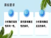 人教版2025高中生物必修一5.1降低化學(xué)反應(yīng)活化能的酶（二） 課件
