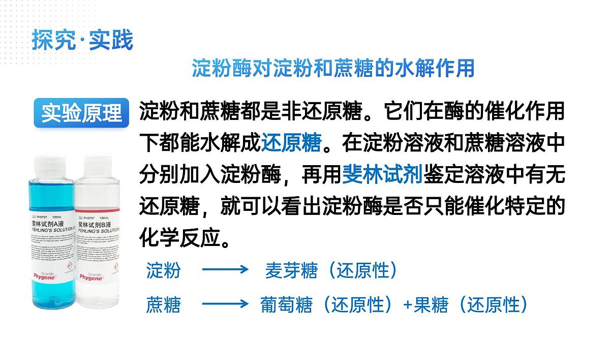 人教版2025高中生物必修一5.1降低化学反应活化能的酶（二） 课件第8页