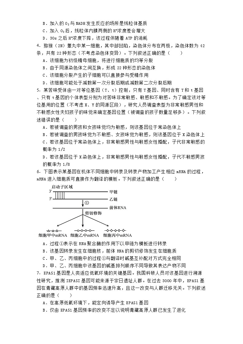 2025届安徽省马鞍山市高三一模生物试题第2页