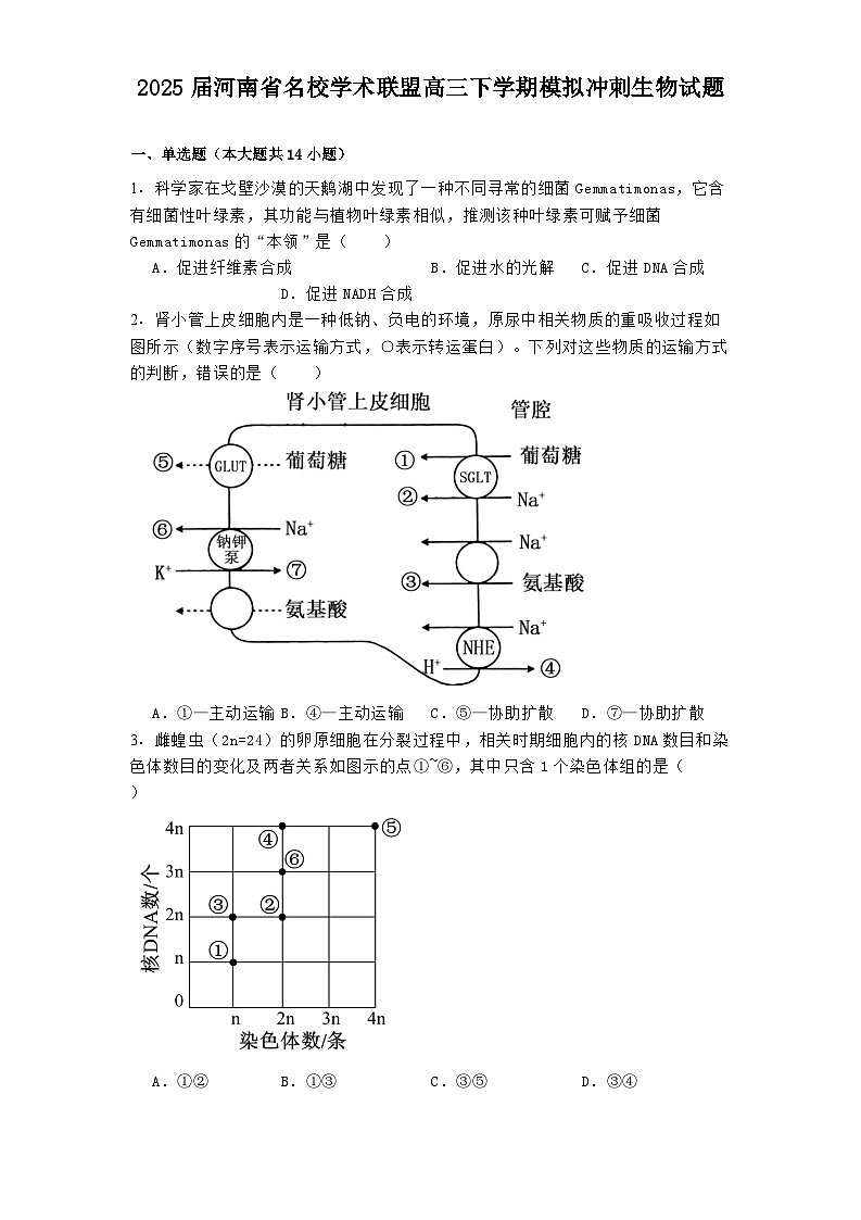 2025届河南省名校学术联盟高三下学期模拟冲刺生物试题第1页