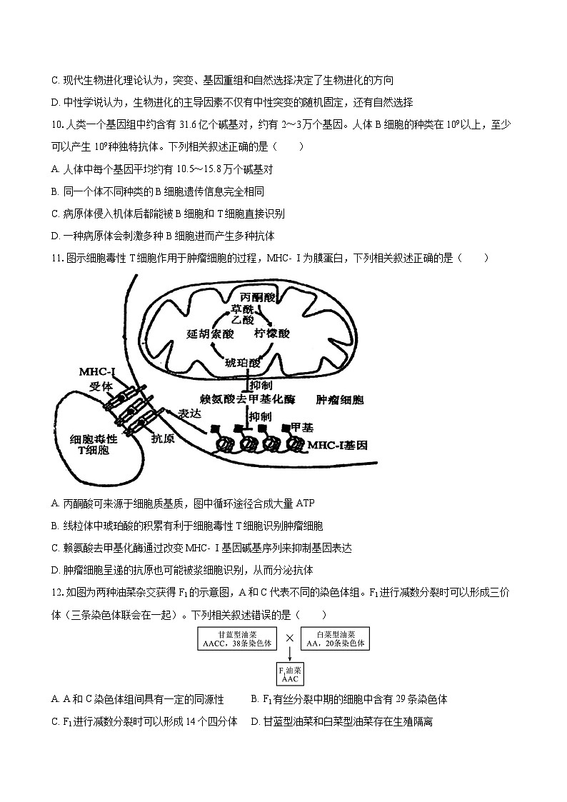 2025届江西省南昌十中高三一模生物试题第3页