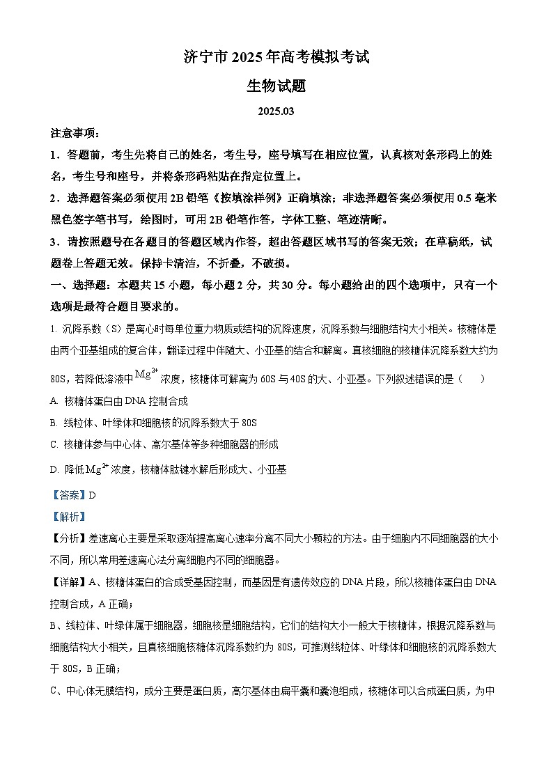 2025届山东省济宁市高三下学期3月一模考试生物试题（解析版）第1页