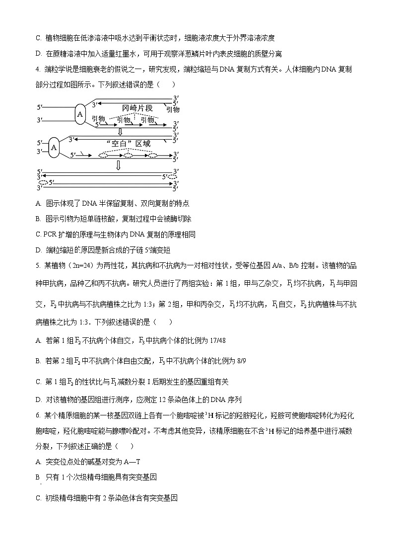 2025届山东省济宁市高三下学期3月一模考试生物试题（原卷版）第2页