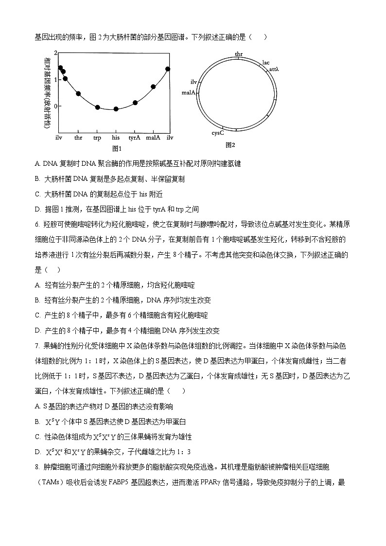 2025年山东省聊城市高三下学期一模生物试题（原卷版）第3页