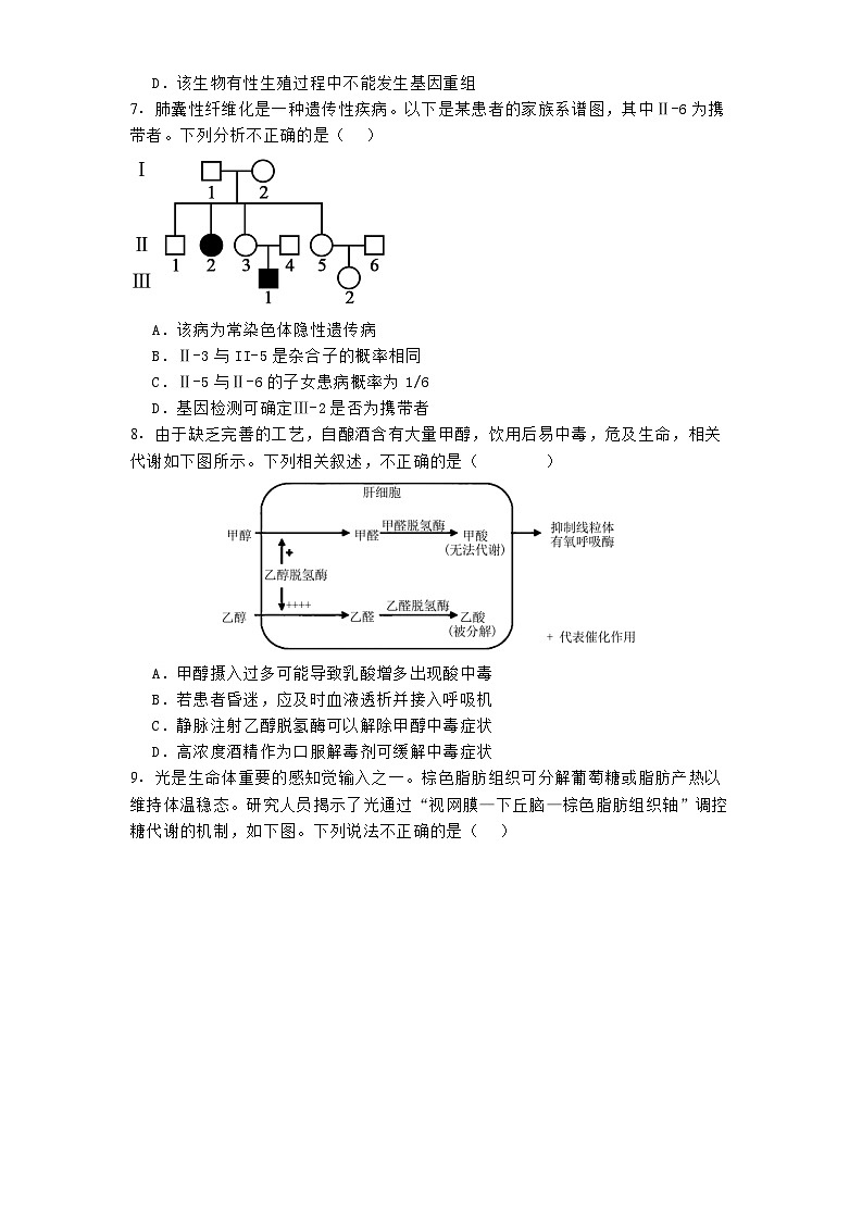 北京市中国人民大学附属中学2024−2025学年高三下学期开学考试生物试题第3页