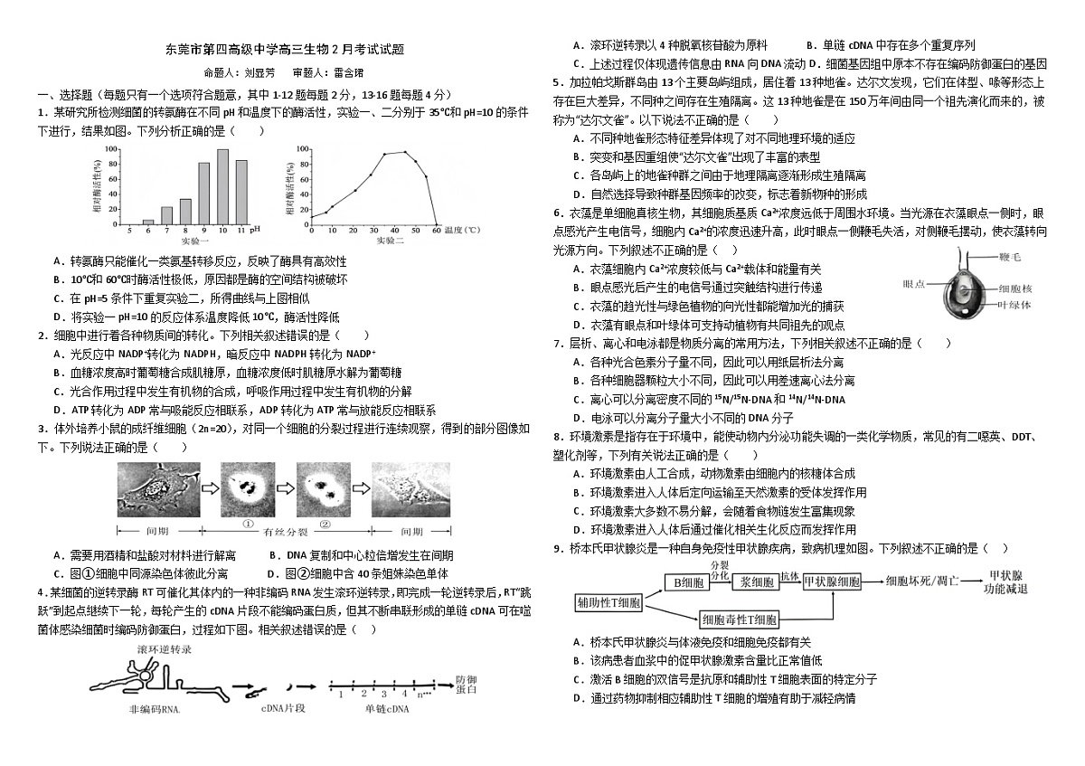 广东省东莞市第四高级中学2024-2025学年高三下学期2月月考生物试题第1页